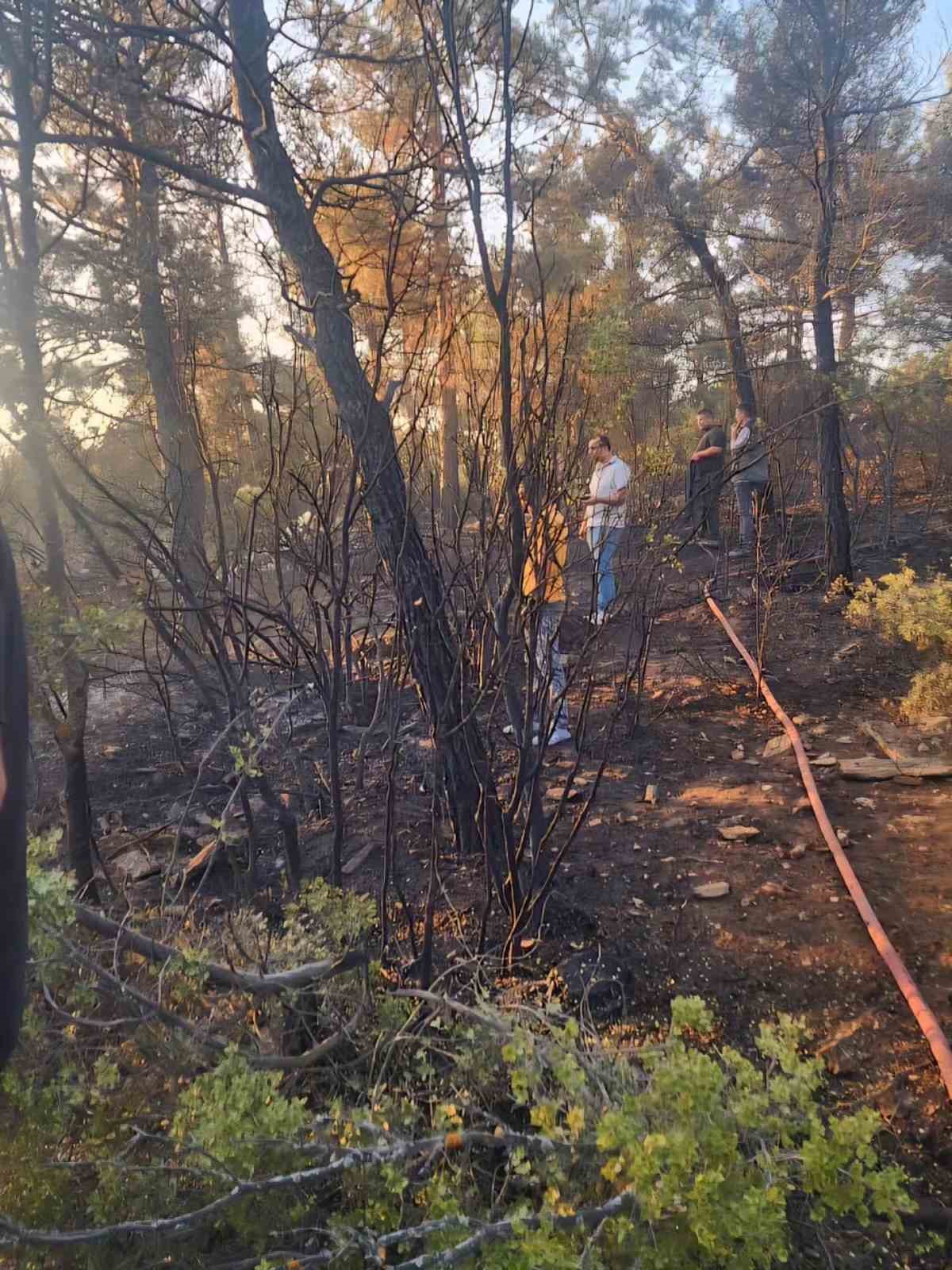 Tavas&rsquo;ın ciğerlerini ateşe veren kundak&ccedil;ılardan akıl almaz tuzak
