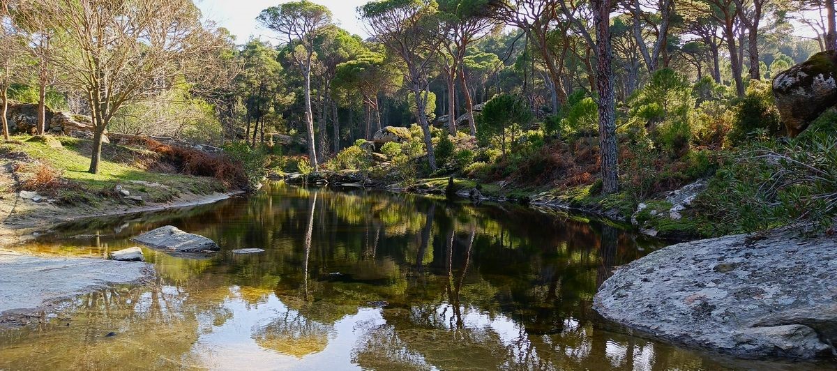 Latmos&rsquo;ta yeni kaya resimleri tespit edildi, b&ouml;lge 1. derece arkeolojik sit ilan edildi
