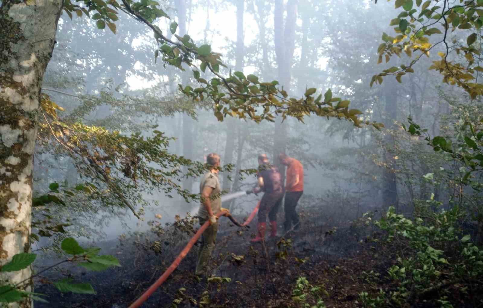 Kırklareli’de orman yangını kısa sürede söndürüldü