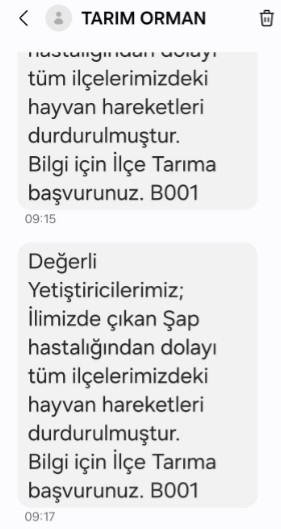 Adanada ap hastal grld: Hayvan hareketlilii kstland
