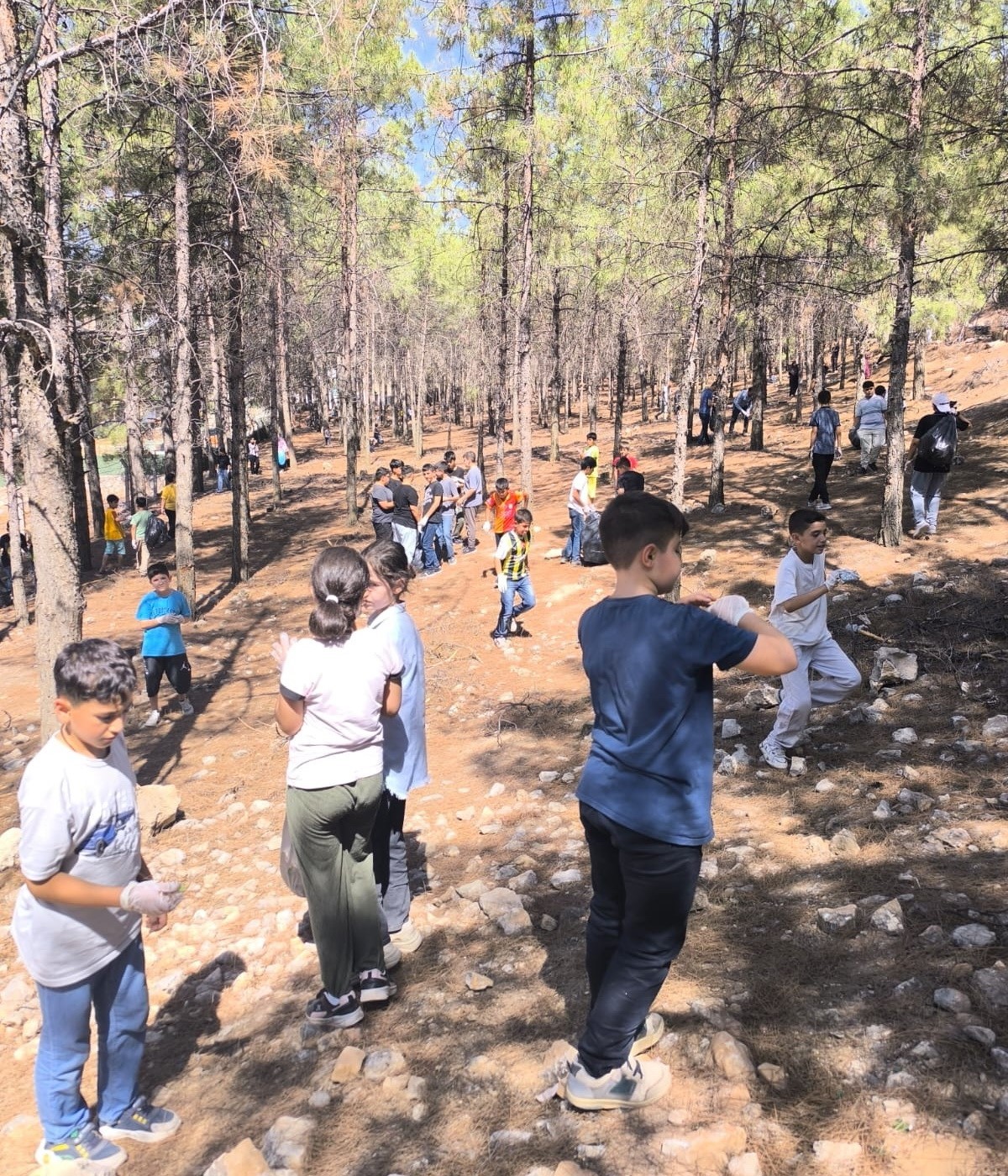 İmam hatiplilerden orman temizliği ve farkındalık seferberliği