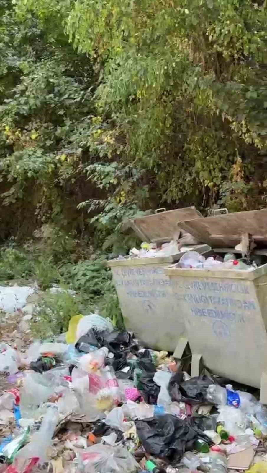 T&uuml;rkiye&rsquo;nin en b&uuml;y&uuml;k blok ormanlarını barındıran Şeker Kanyonu &ccedil;&ouml;plerle kirletildi
