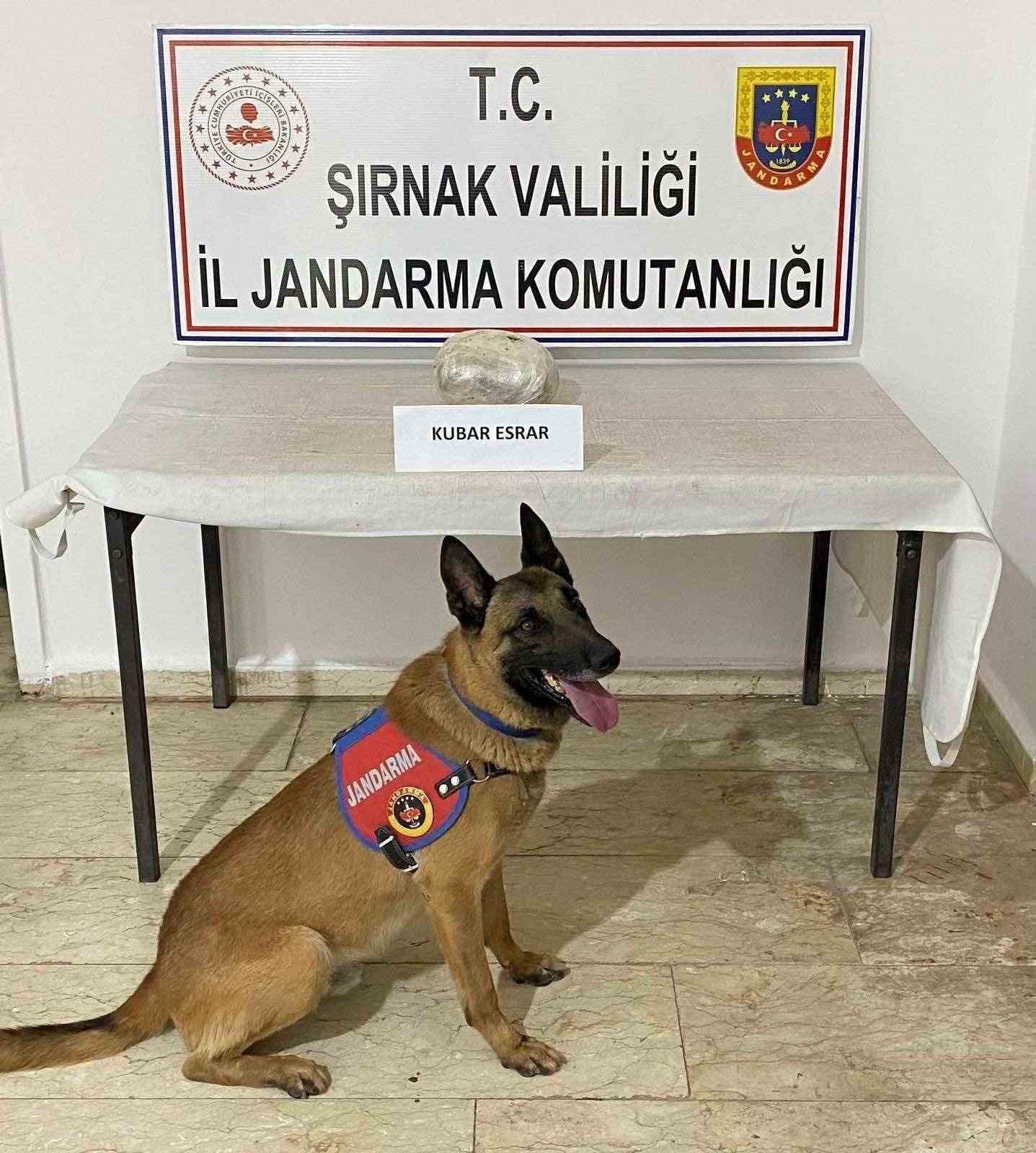 Şırnak&rsquo;ta jandarmadan ka&ccedil;ak&ccedil;ılık operasyonu
