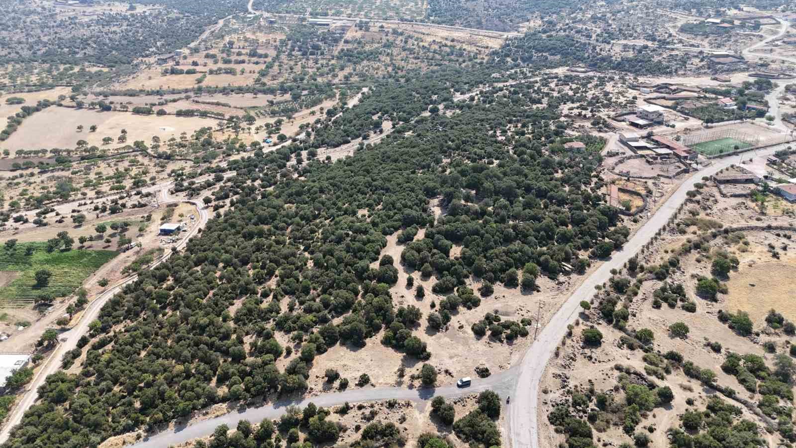 Başkan Pehlivan: "Menemen’in eşsiz doğasına çöp döktürmeyeceğiz"