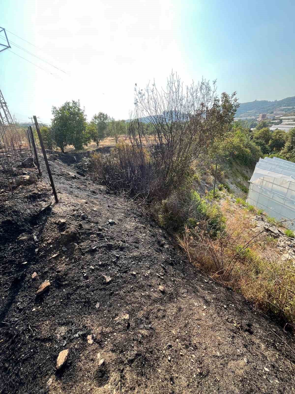 Alanya&rsquo;da otluk alanda &ccedil;ıkan yangın b&uuml;y&uuml;meden s&ouml;nd&uuml;r&uuml;ld&uuml;
