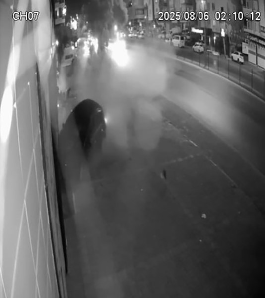 Antalya&rsquo;da alkoll&uuml; s&uuml;r&uuml;c&uuml; &ouml;nce ağaca, sonra iş yerinin camına &ccedil;arptı
