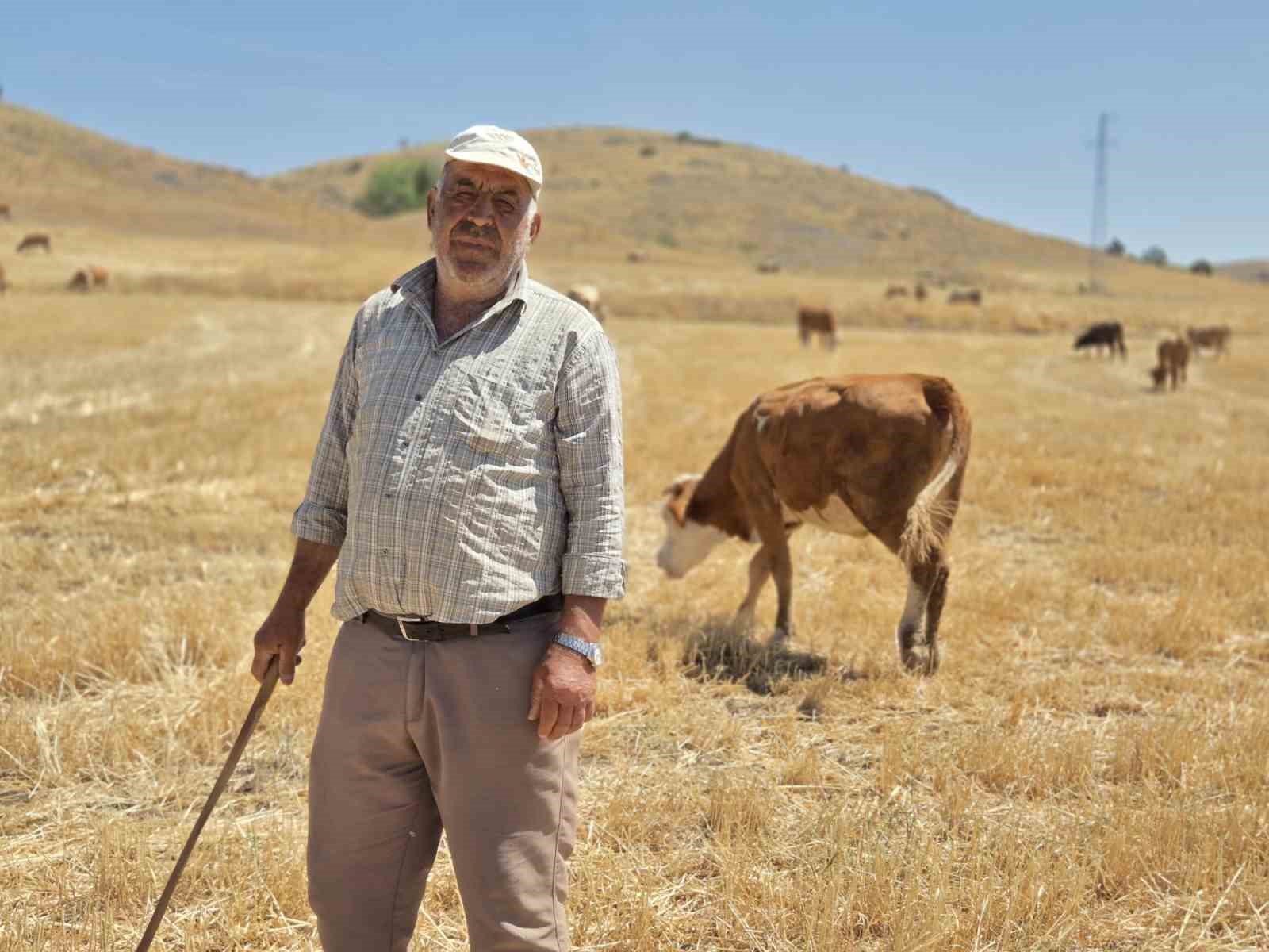 40 yıllık çoban sağlığını mesleğine borçlu olduğunu söyledi