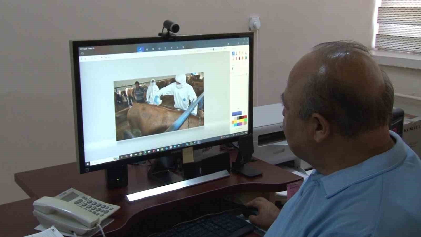 Gelişig&uuml;zel yapılan ila&ccedil;lamalar kene patlamasına neden olabilir
