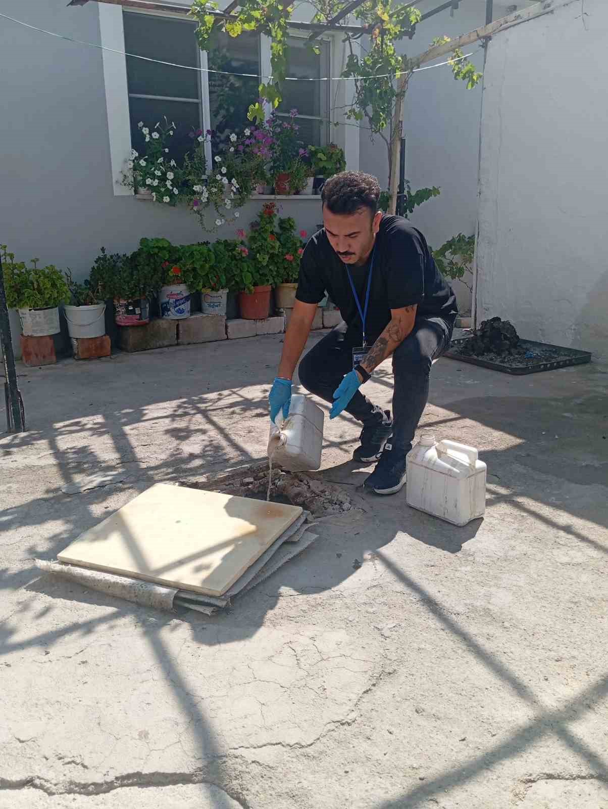 S&ouml;ke Belediyesi&rsquo;nden haşerelere karşı "Nokta Atışı" m&uuml;cadele
