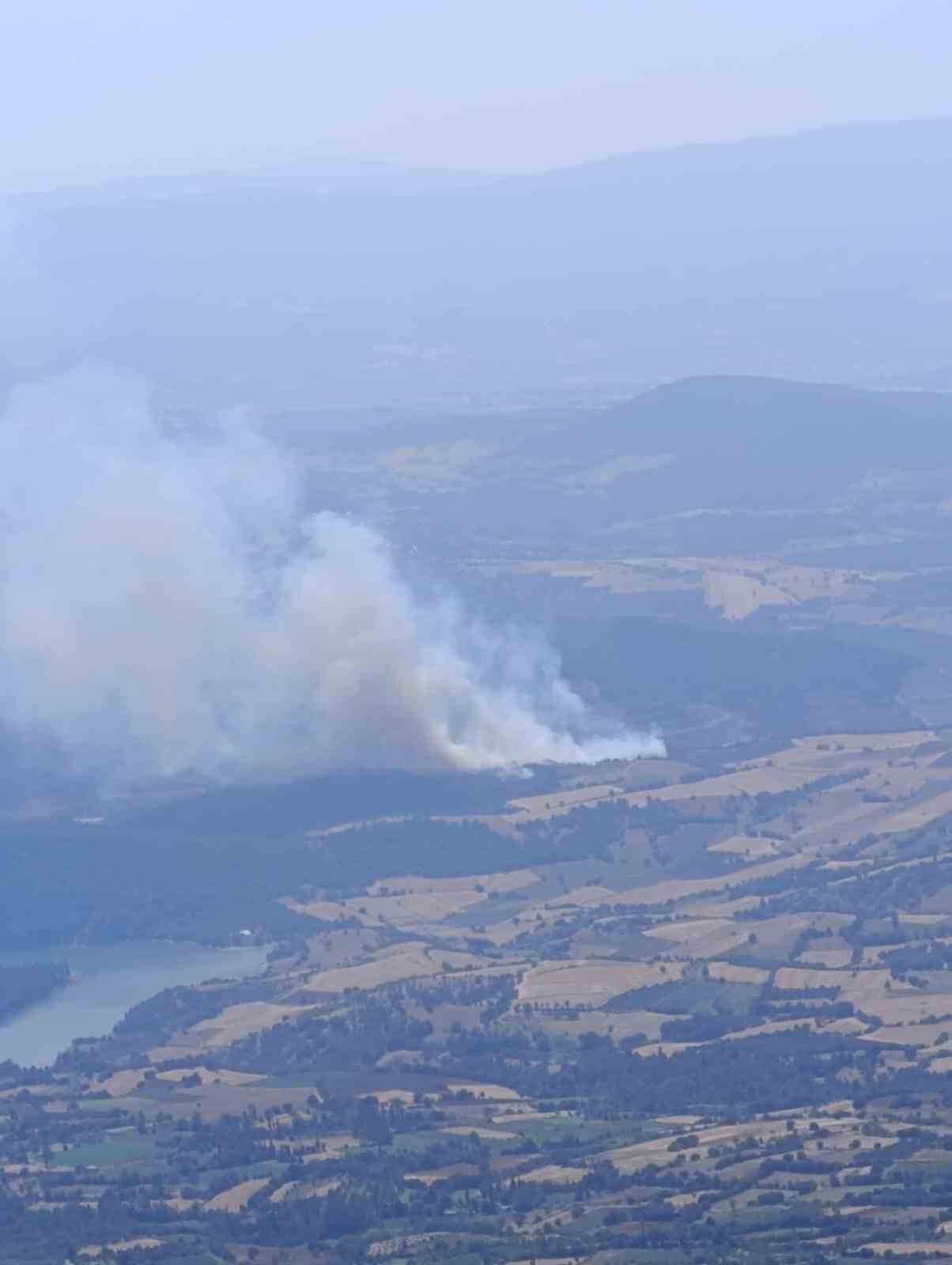 Tokat’ın Erbaa ilçesinde çıkan orman yangınına müdahale ediliyor