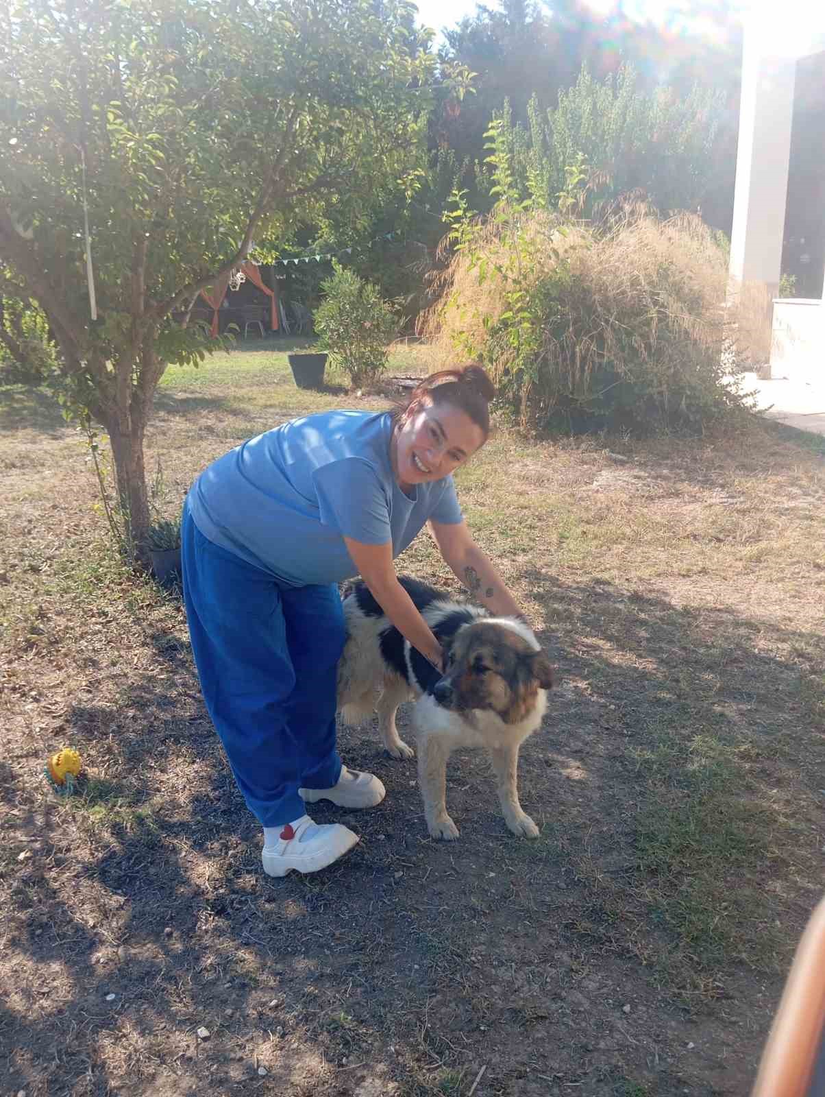 Sahibinin mezarından ayrılmayan köpek, sanatçı Ceylan Ertem’e emanet