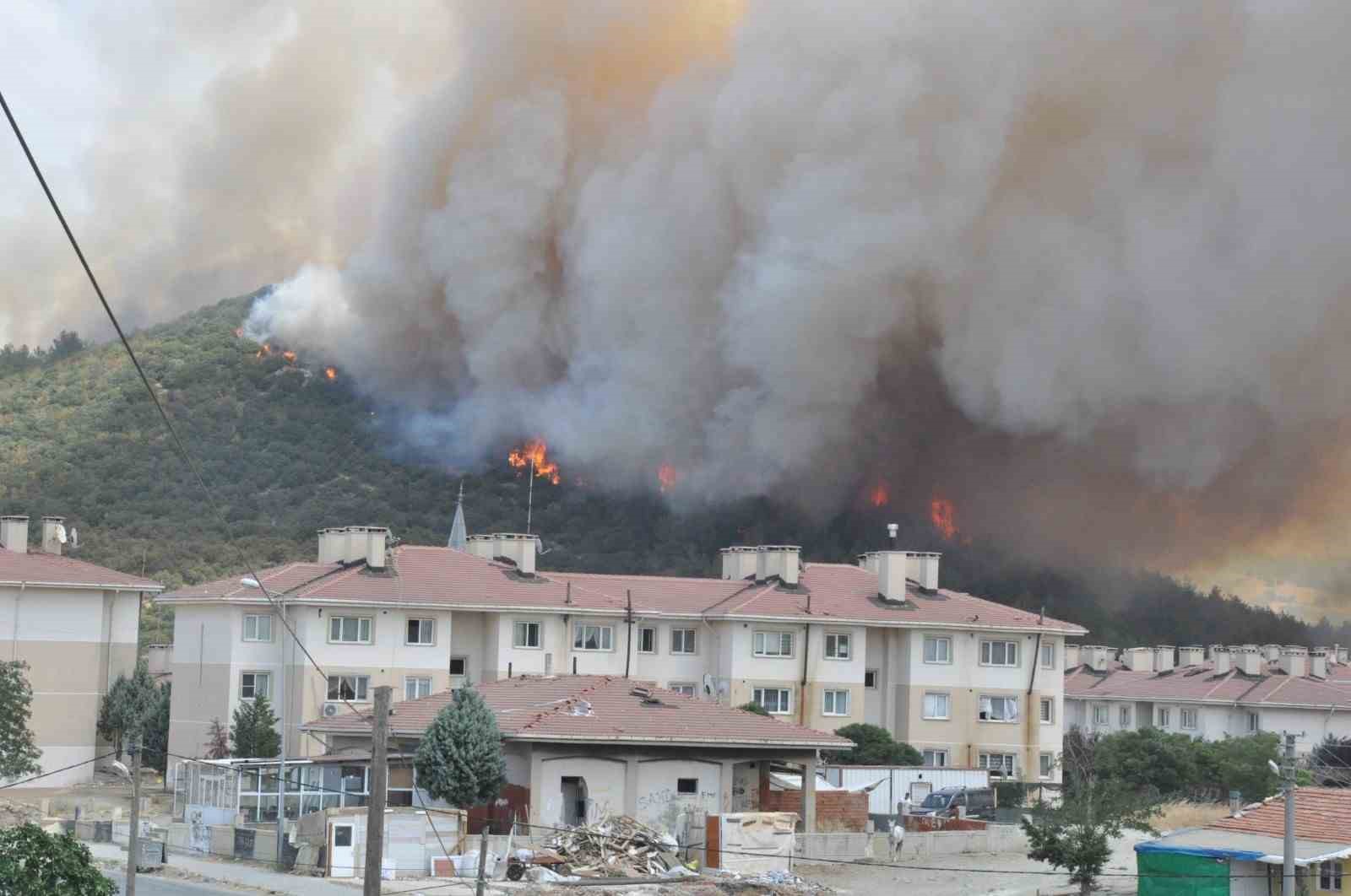 Edirne&rsquo;deki orman yangınında imdada yağmur yetişti
