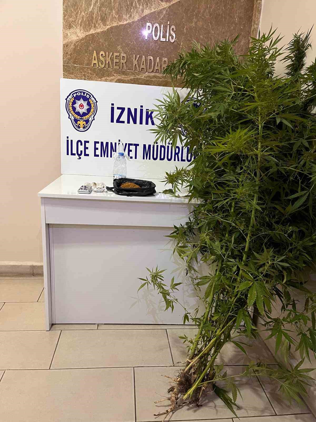 Bah&ccedil;esinde hint keneviri yetiştiren kişiler tutuklandı
