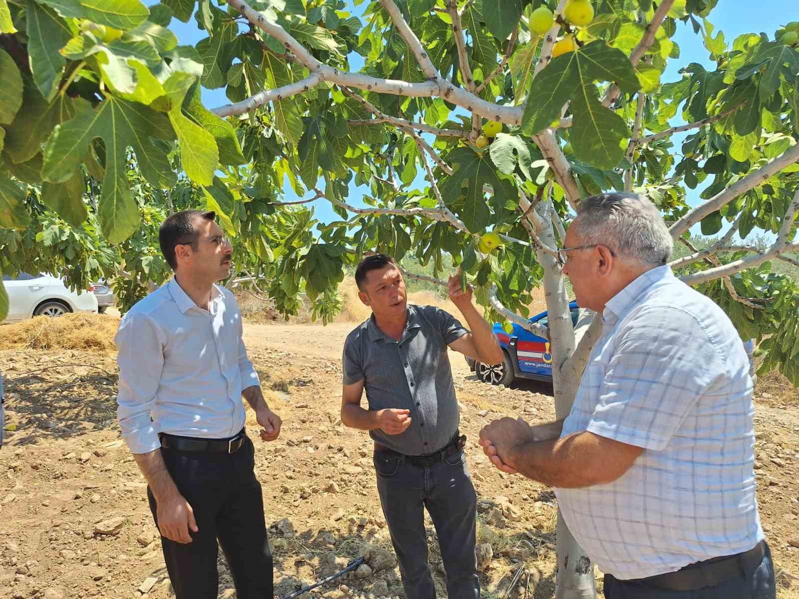 Kaymakam Polat, incir &uuml;reticileriyle bir araya geldi
