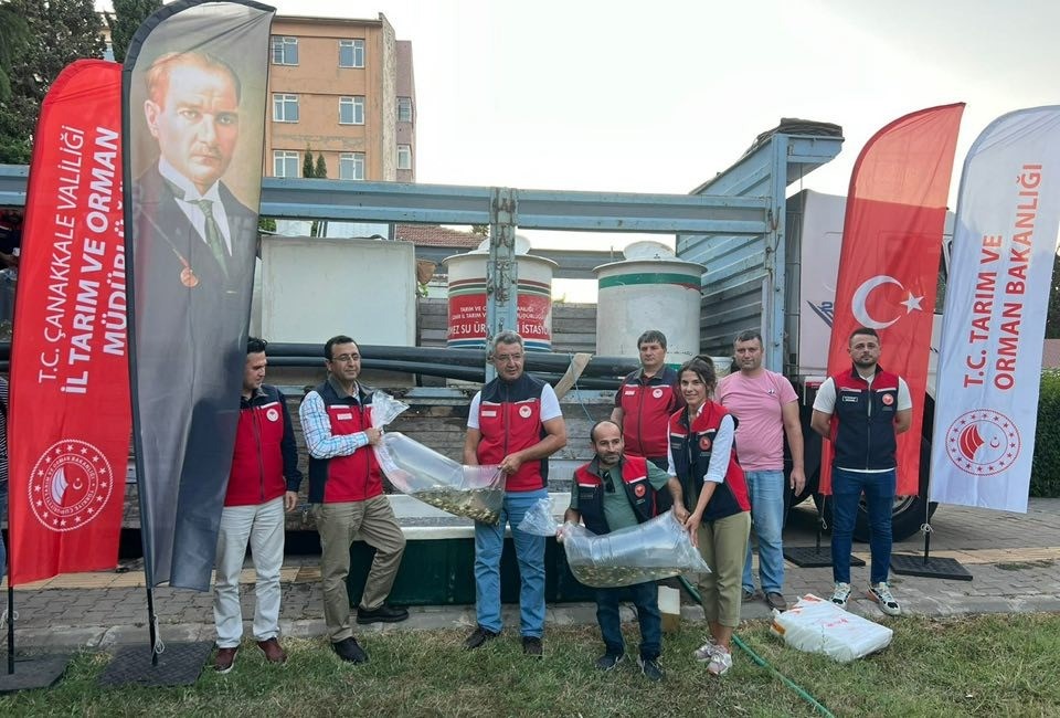 Çanakkale’de baraj ve göletlere 2 milyon aynalı sazan yavrusu bırakıldı