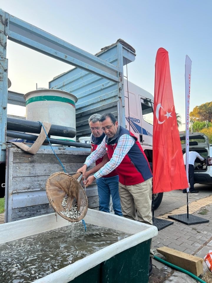 &Ccedil;anakkale&rsquo;de baraj ve g&ouml;letlere 2 milyon aynalı sazan yavrusu bırakıldı
