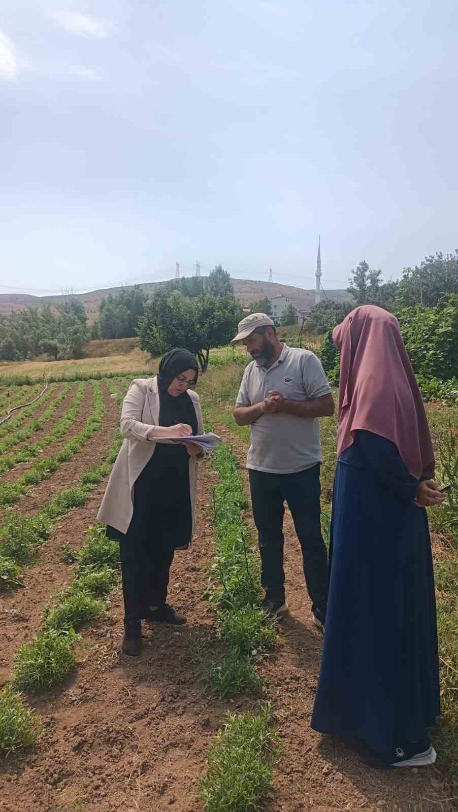 ‘Bayburt Tarhunu’ coğrafi işaret tescilinin ardından ilk kez denetlendi