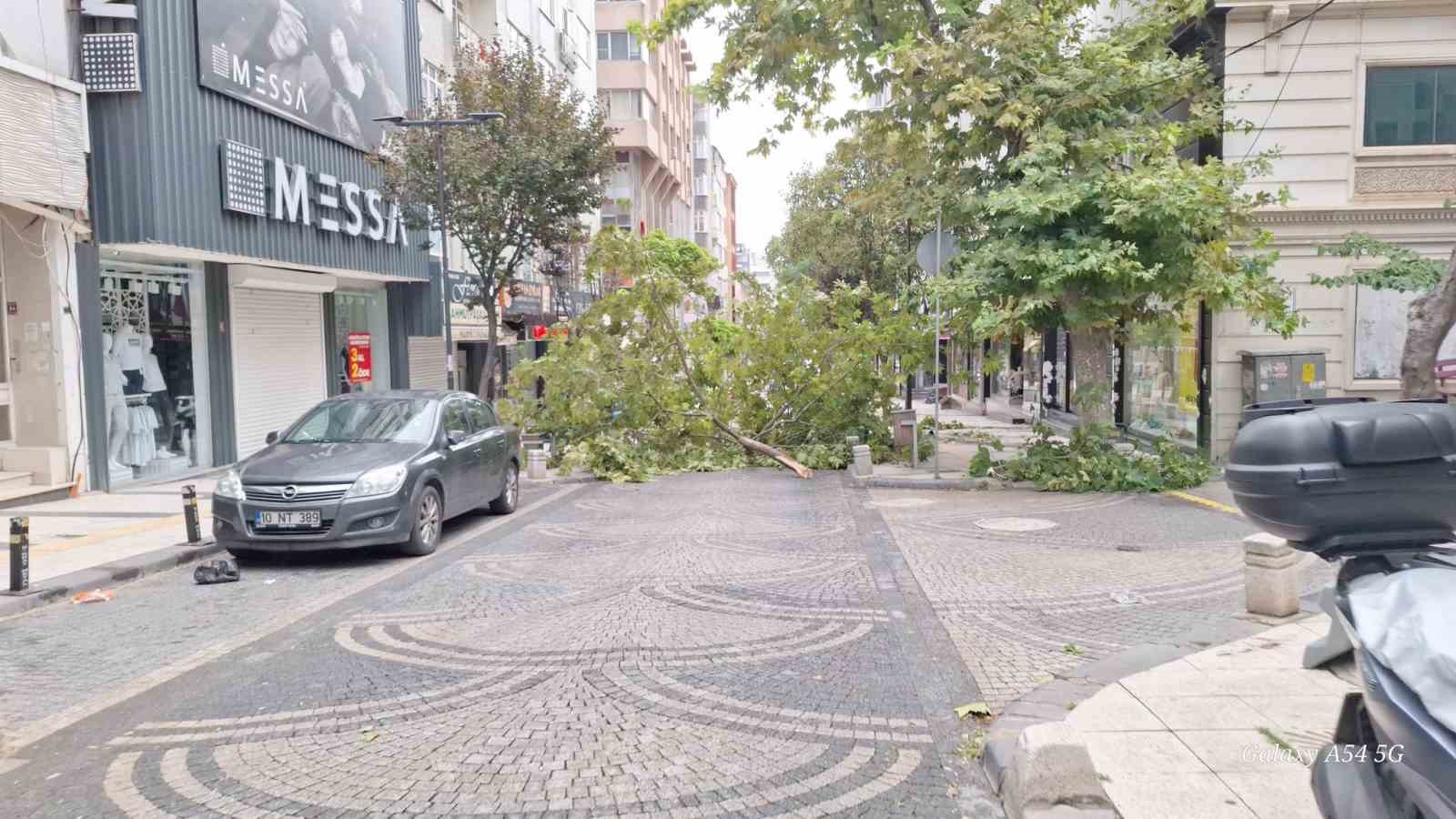 Bandırma’da gece yarısı fırtına: Ağaçlar devrildi, araçlar zarar gördü