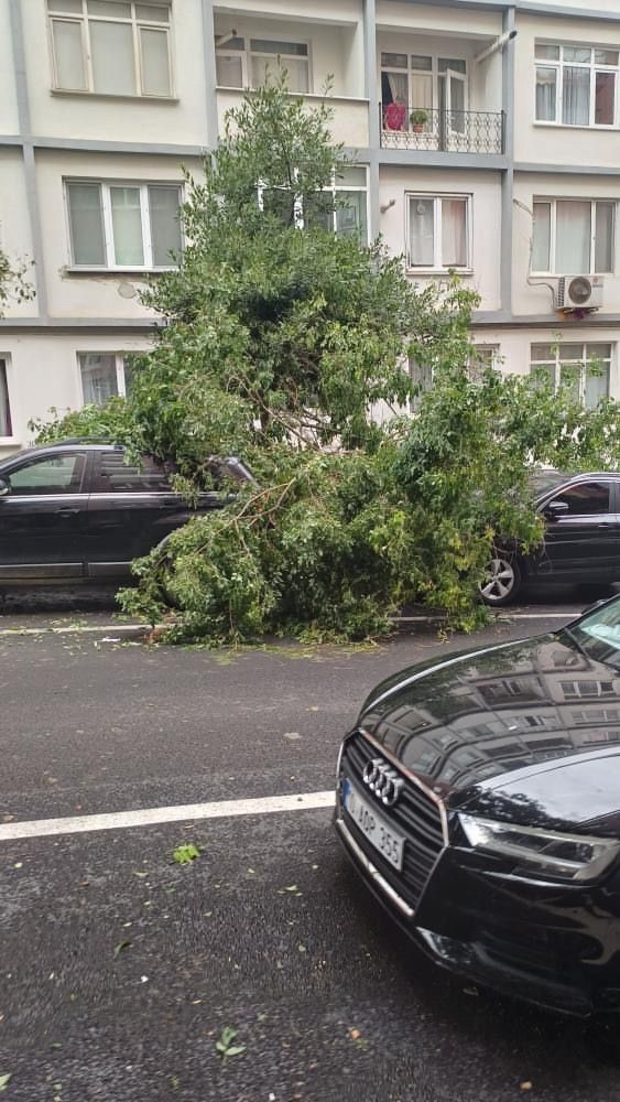 Bandırma&rsquo;da gece yarısı fırtına: Ağa&ccedil;lar devrildi, ara&ccedil;lar zarar g&ouml;rd&uuml;
