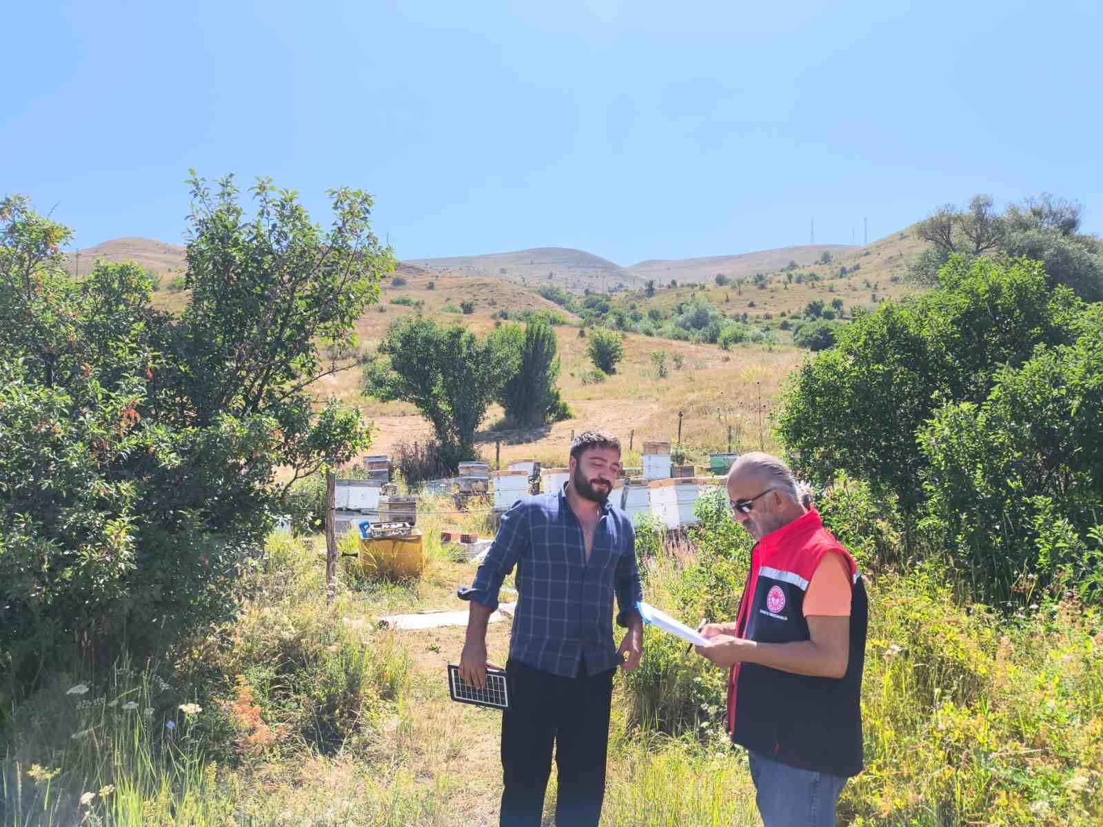 Bayburt’ta arılı kovan desteklemesi kapsamında tespit çalışmaları başladı