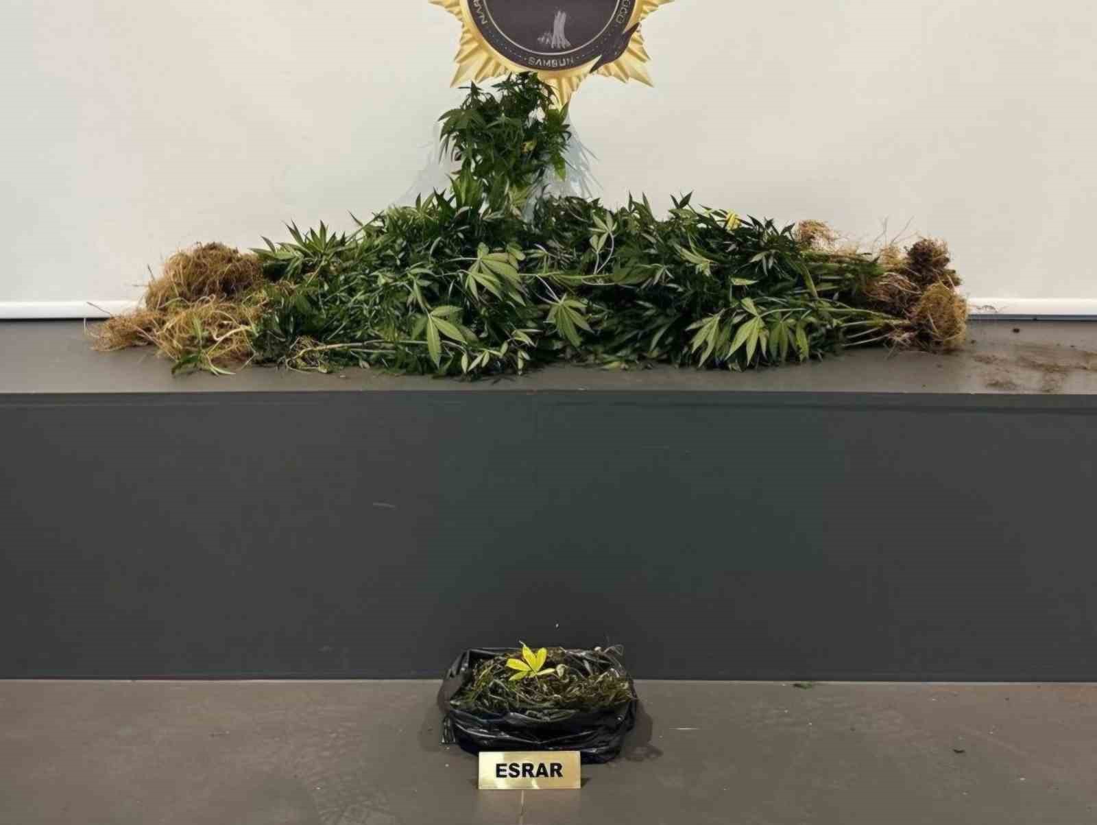 Samsun’da uyuşturucu operasyonu: 10 kişi yakalandı