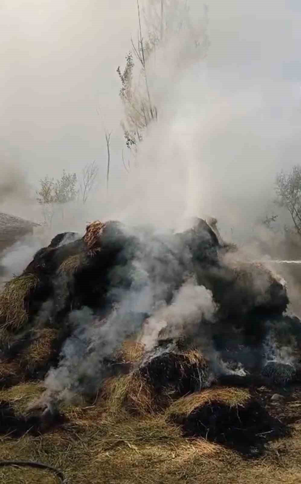 Y&uuml;ksekova&rsquo;da ot yangını: Bin bağ ot k&uuml;le d&ouml;nd&uuml;
