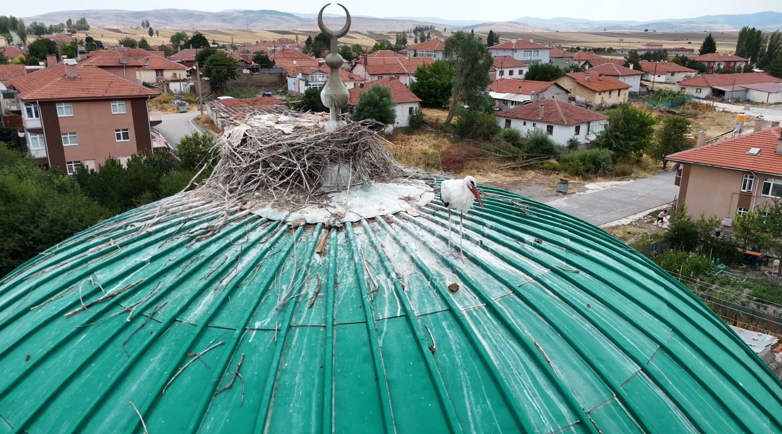 Bu caminin kubbesi yıllardır leyleklere ev sahipliği yapıyor