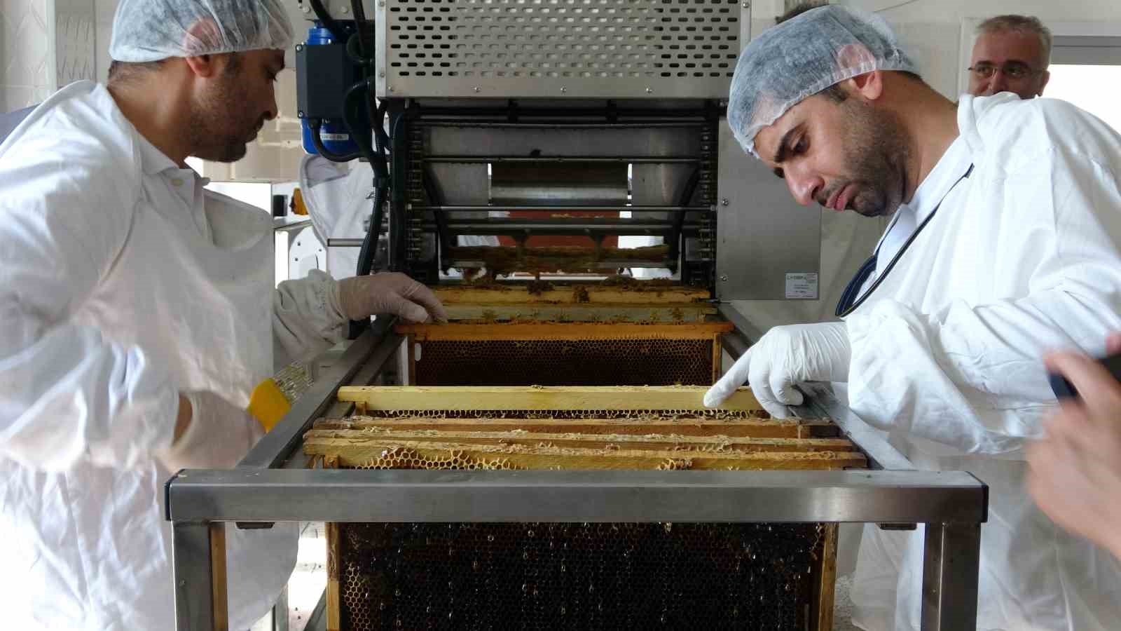 Vali &Ccedil;i&ccedil;ek, ilk bal sağımını ger&ccedil;ekleştirdi
