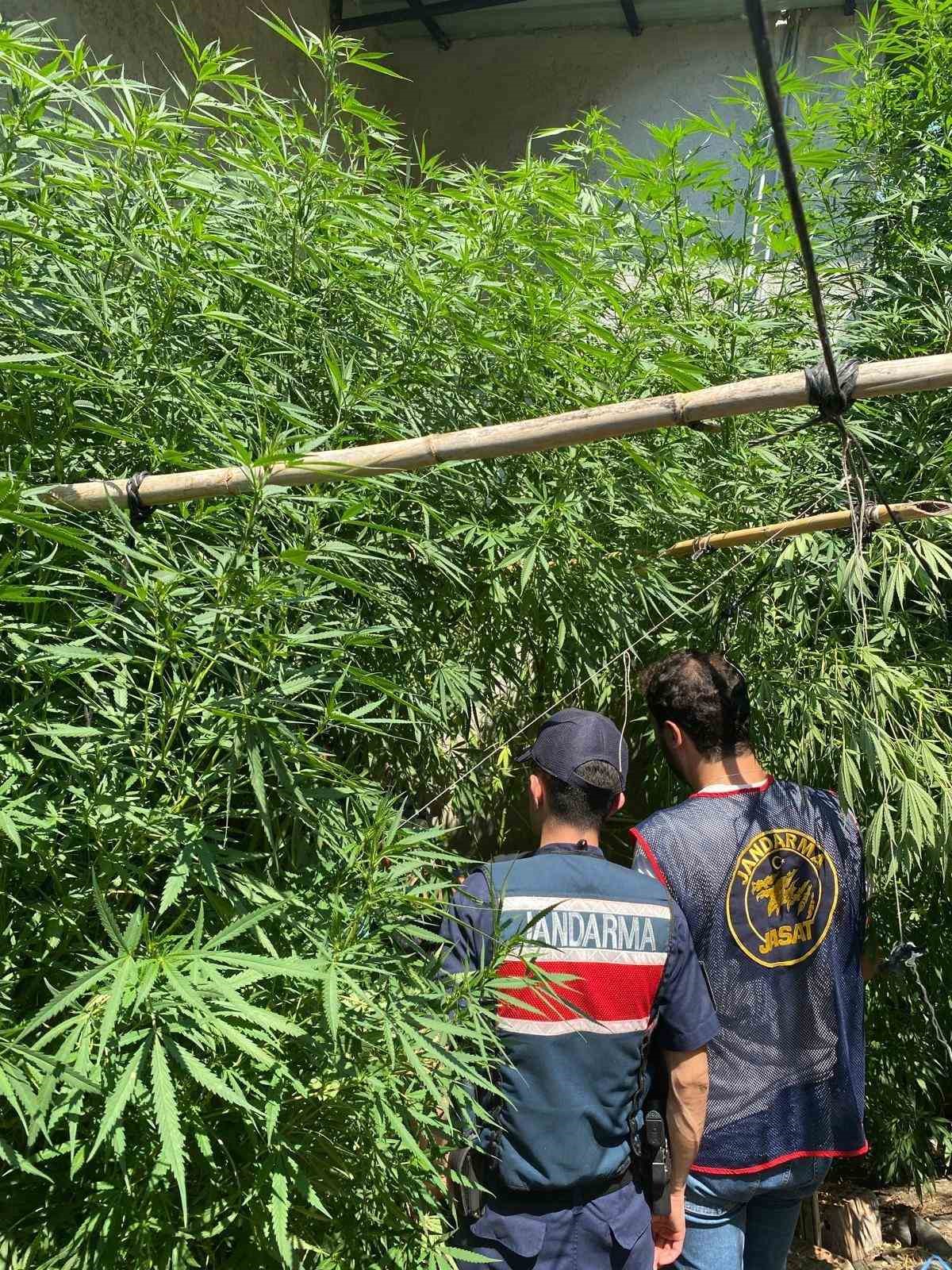 Evinin bah&ccedil;esine saklamak istedi, narkotik k&ouml;peğine takıldı
