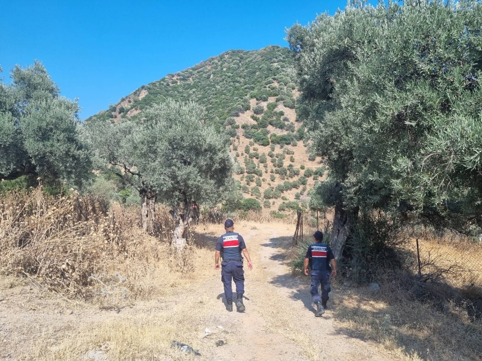 Jandarma Aydın&rsquo;da yangın n&ouml;betinde
