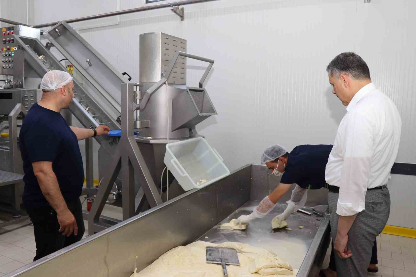 Erzurum’da kaşar üretimi yaygınlaşıyor

