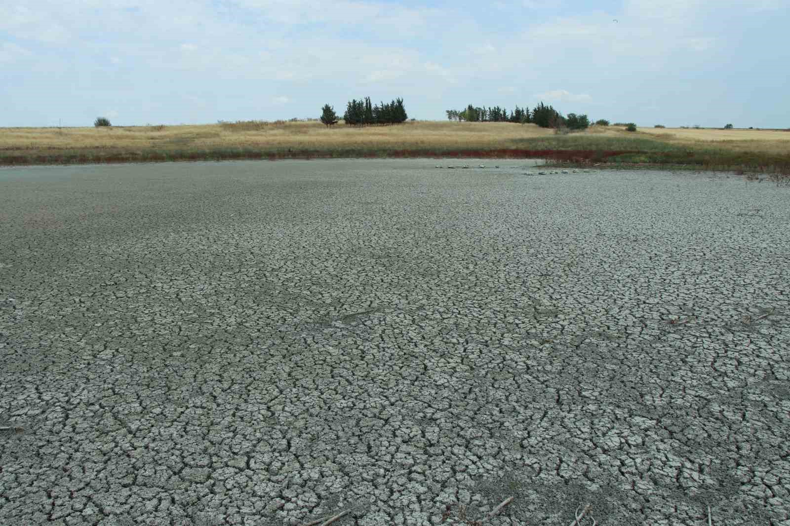 Aşırı sıcaklarda suları çekilen göletlerde balıklar yaşam mücadelesi veriyor