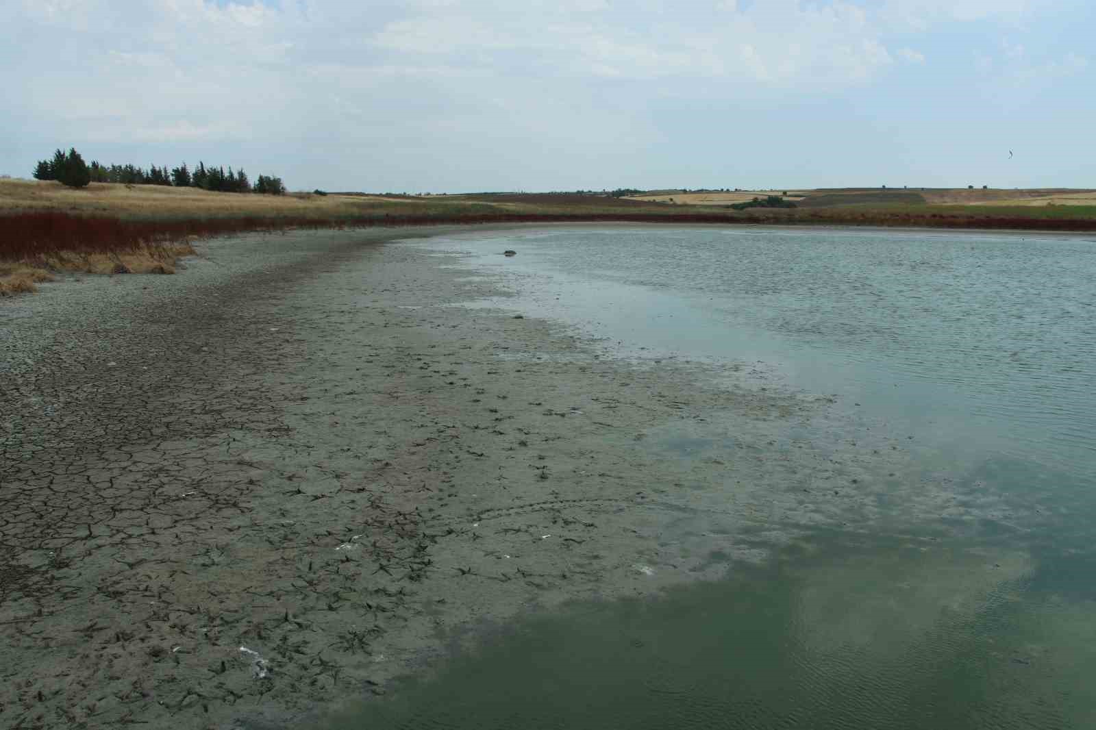 Aşırı sıcaklarda suları çekilen göletlerde balıklar yaşam mücadelesi veriyor
