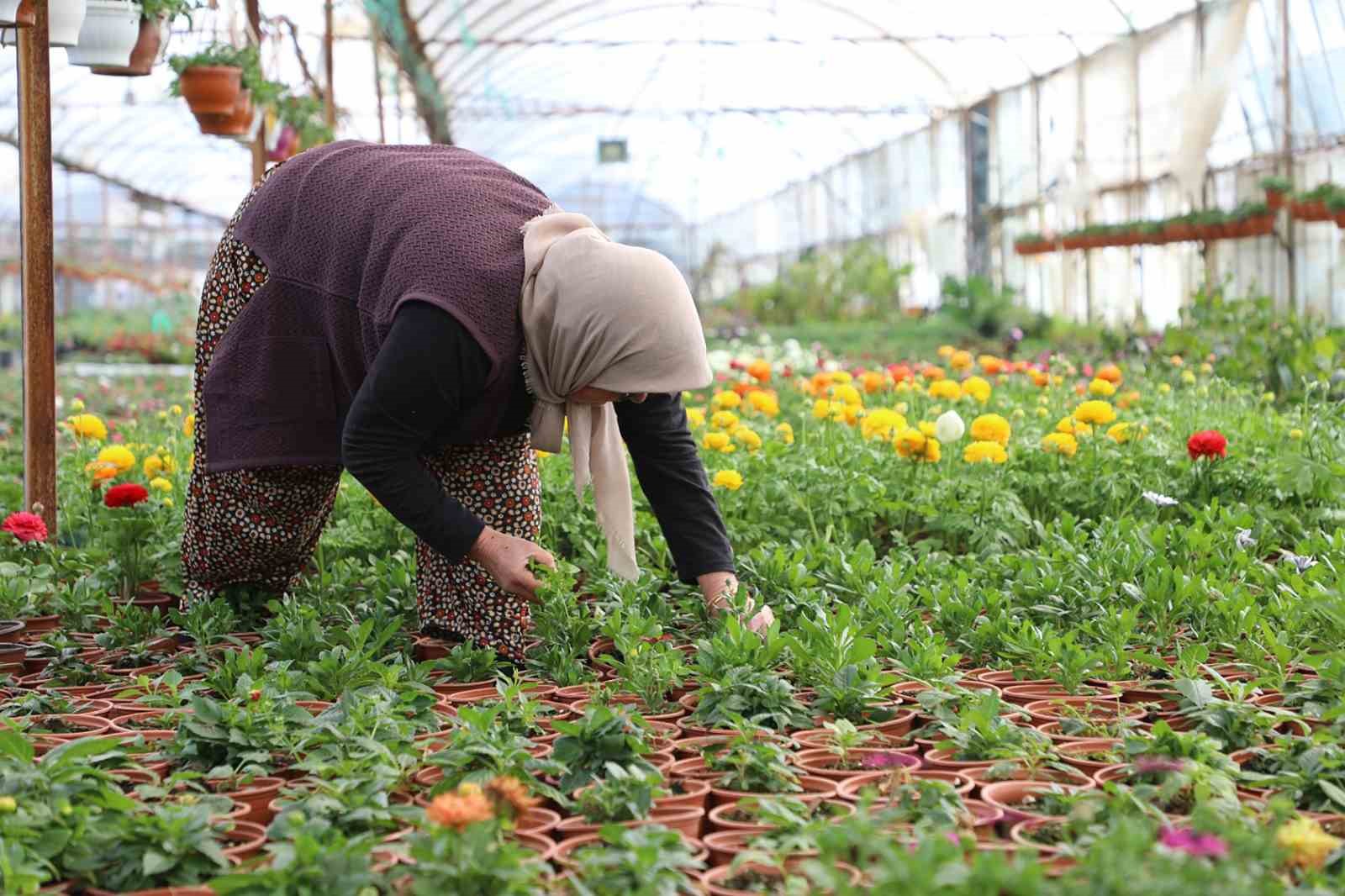27 milyon 300 bin adet çiçek üretimi gerçekleştirildi
