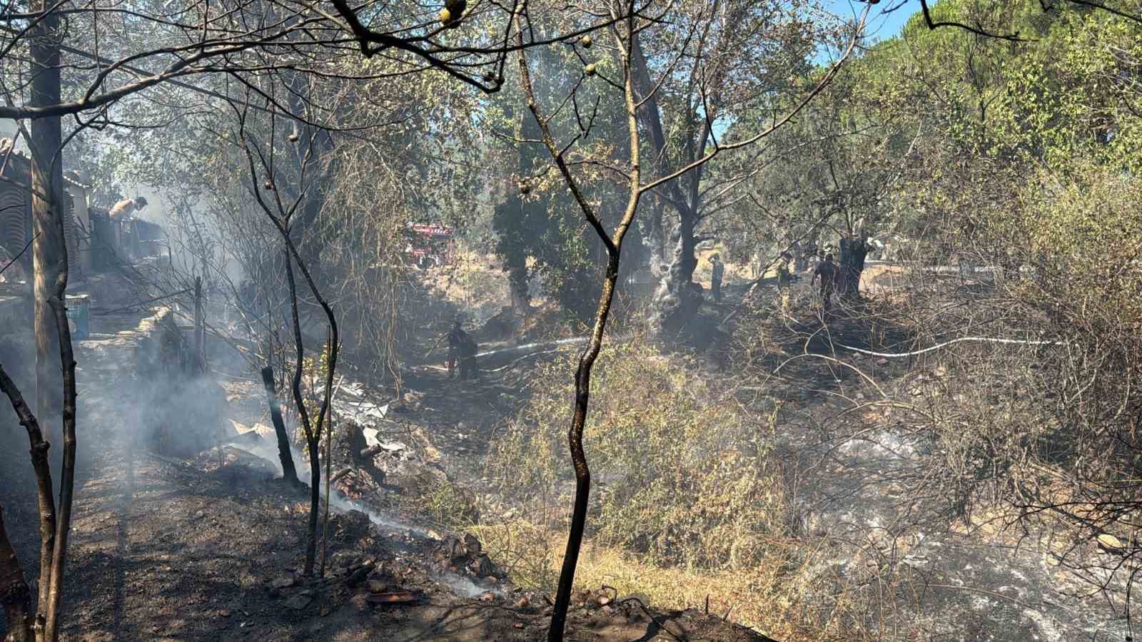 Balıkesir’de kırsal alanda çıkan yangın kısa sürede söndürüldü