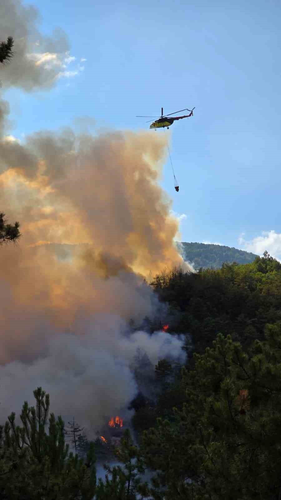 Karabük’te orman yangını rüzgarın etkisiyle büyüyor