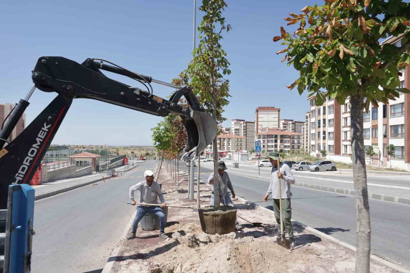 Nevşehir’de orta refüjler modern bir görünüme kavuşuyor