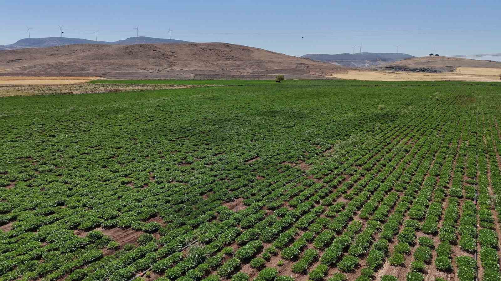 Büyükşehir, akıllı sulama sistemlerini Nurdağı ve İslahiye’de hayata geçirdi