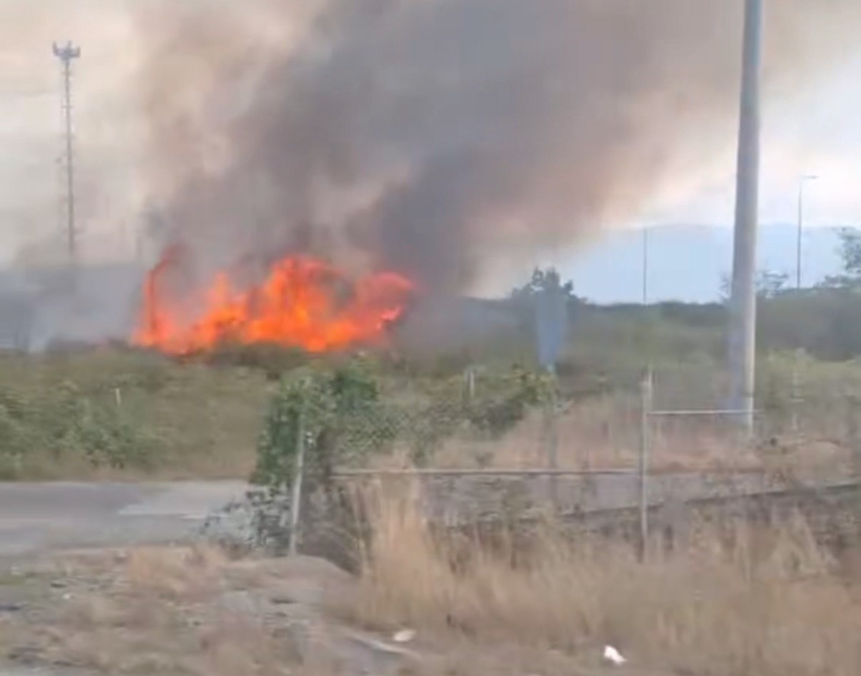 D&uuml;zce&rsquo;de yol kenarındaki yangın g&uuml;&ccedil;l&uuml;kle s&ouml;nd&uuml;r&uuml;ld&uuml;
