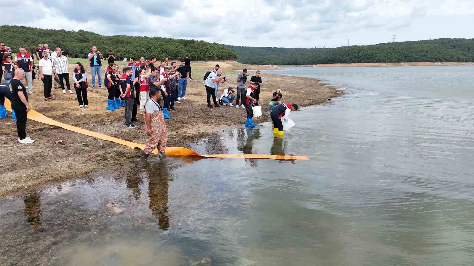 İstanbul&rsquo;daki g&ouml;letlere 3,7 milyon yerli &uuml;retim sazan yavrusu bırakıldı
