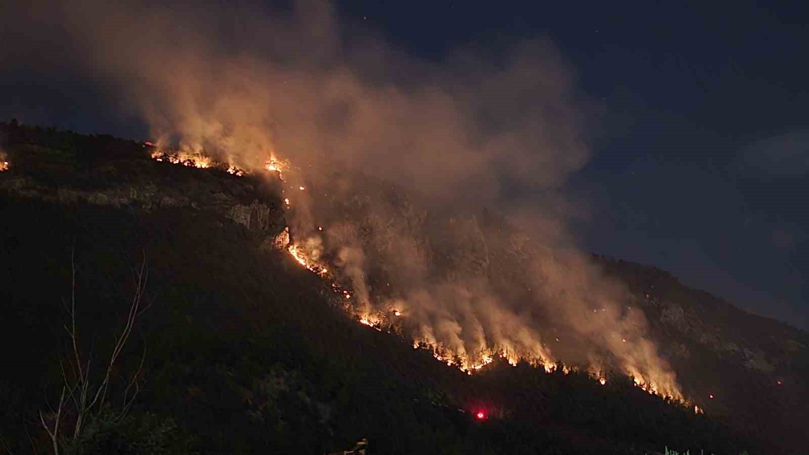 Orman yangınında 9 saat geride kaldı