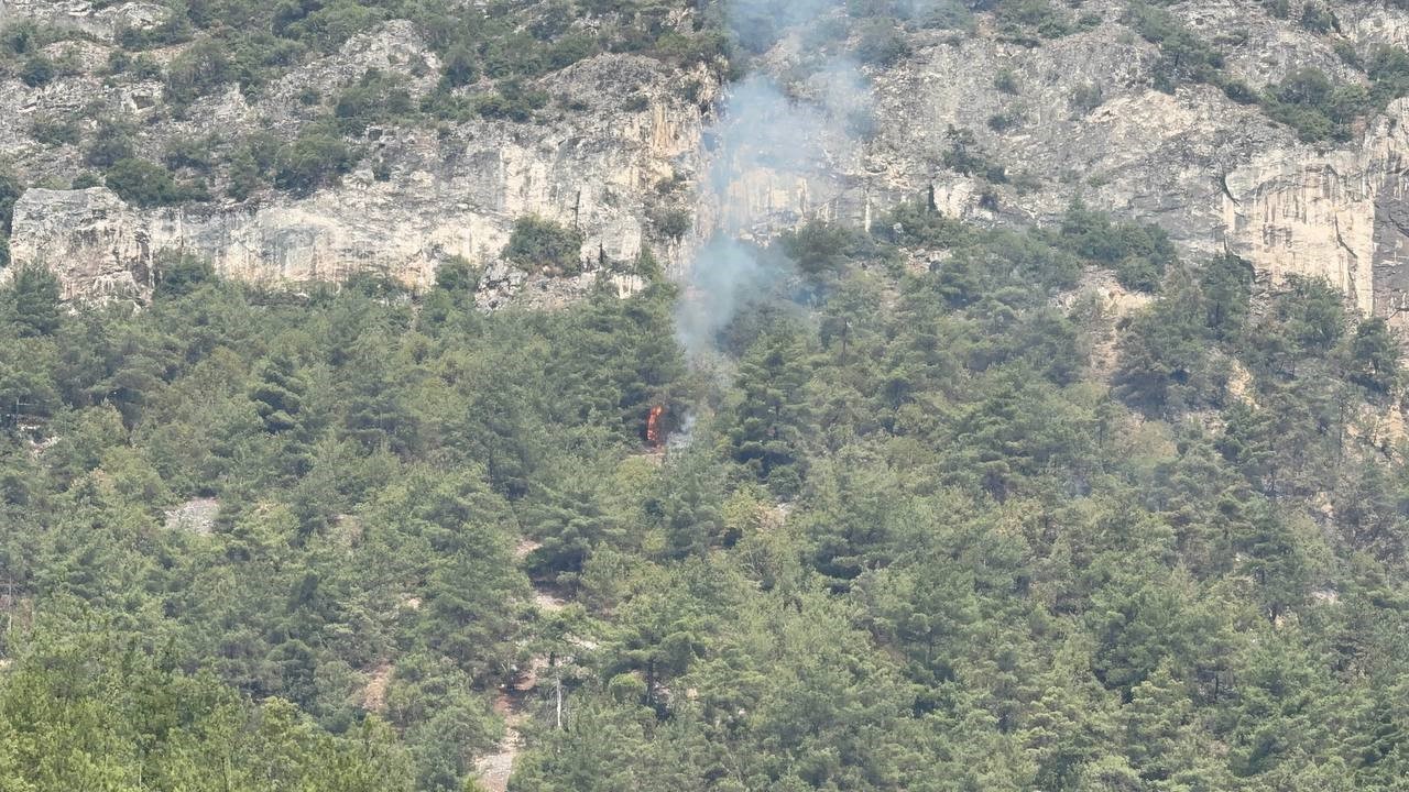 Orman yangınında alevler yeniden etkili olmaya başladı
