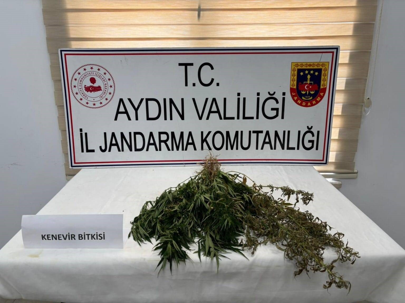 Aydın&rsquo;da uyuşturucu operasyonu: 13 ş&uuml;pheli yakalandı
