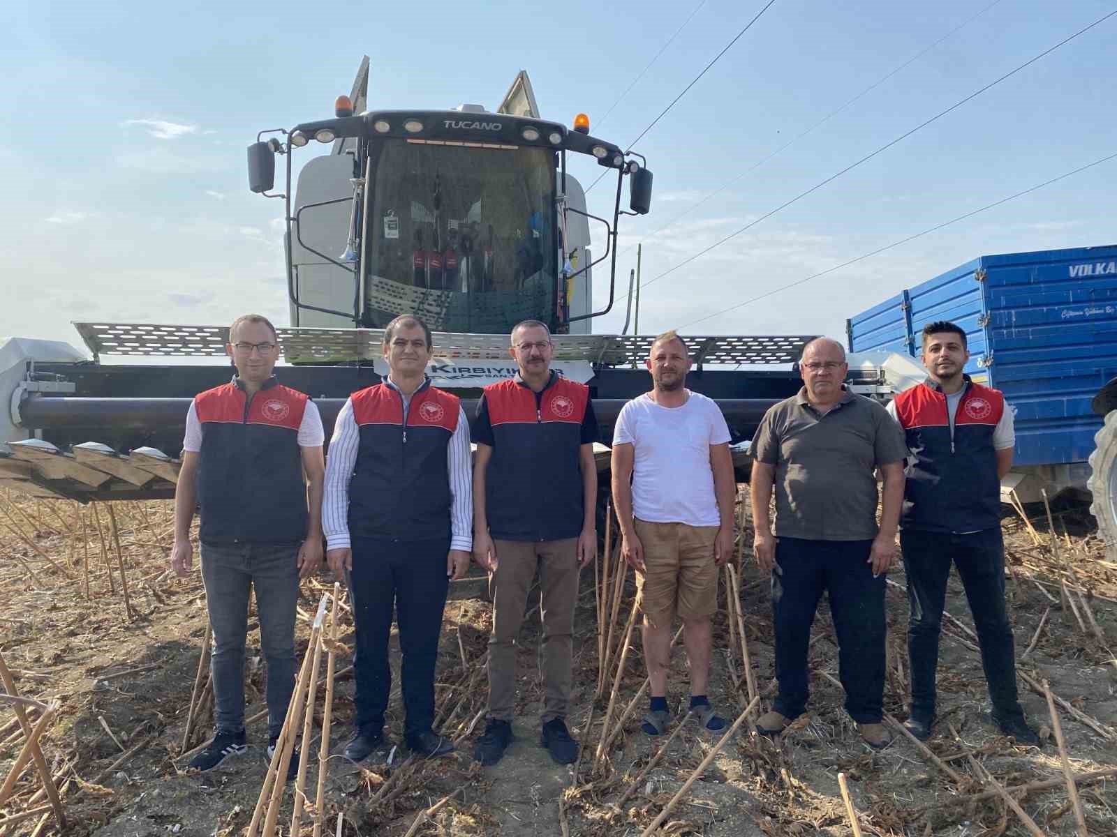 Kaymakam, üreticiyle ayçiçeği hasat etti