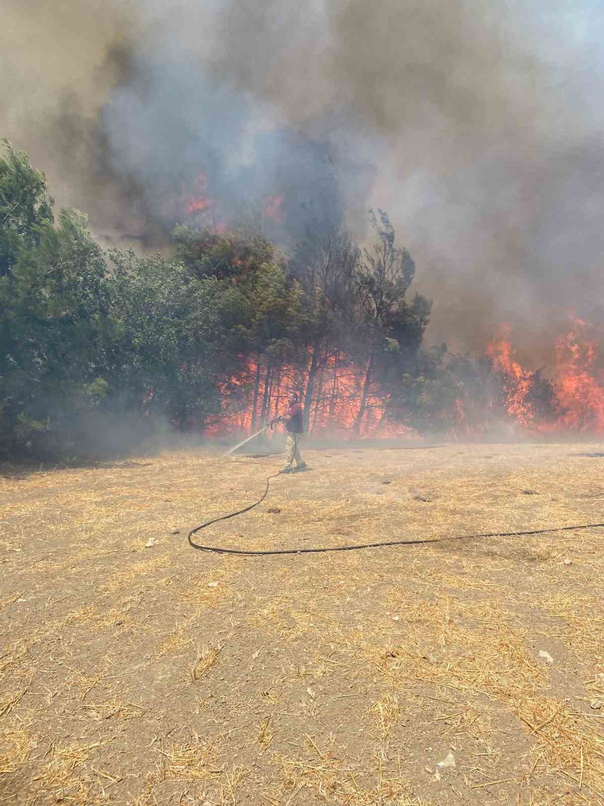 Çanakkale’de orman yangınına havadan ve karadan müdahale ediliyor