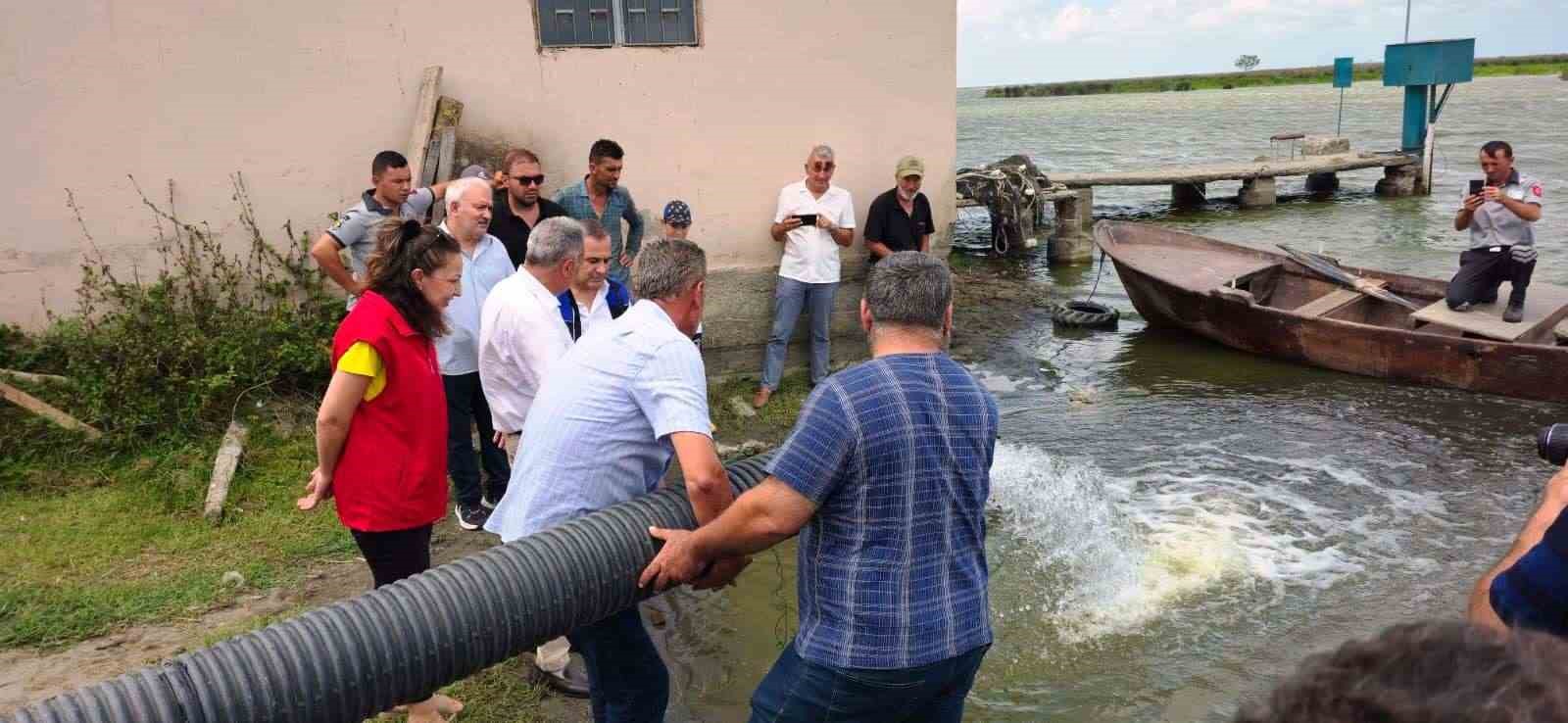Samsun&rsquo;da yaklaşık 2,5 milyon sazan su kaynaklarına bırakıldı
