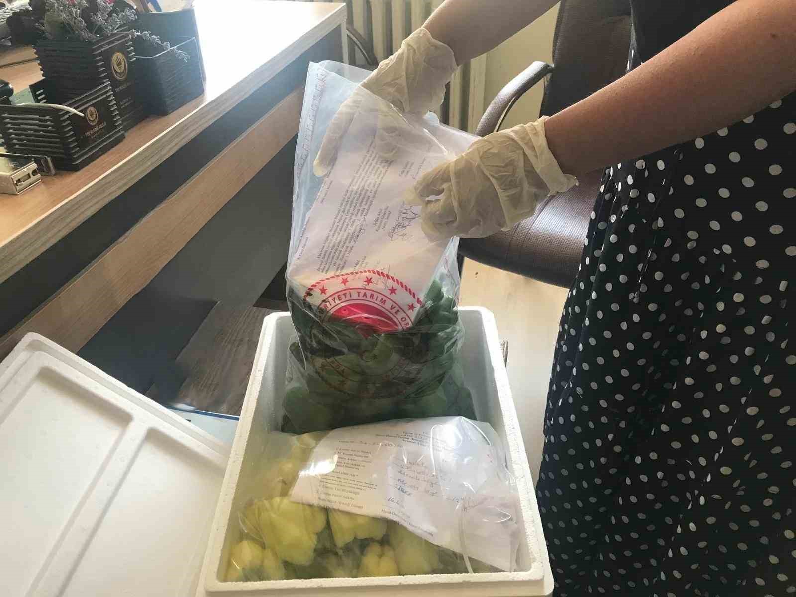 Elazığ’da pestisit denetimleri sürüyor