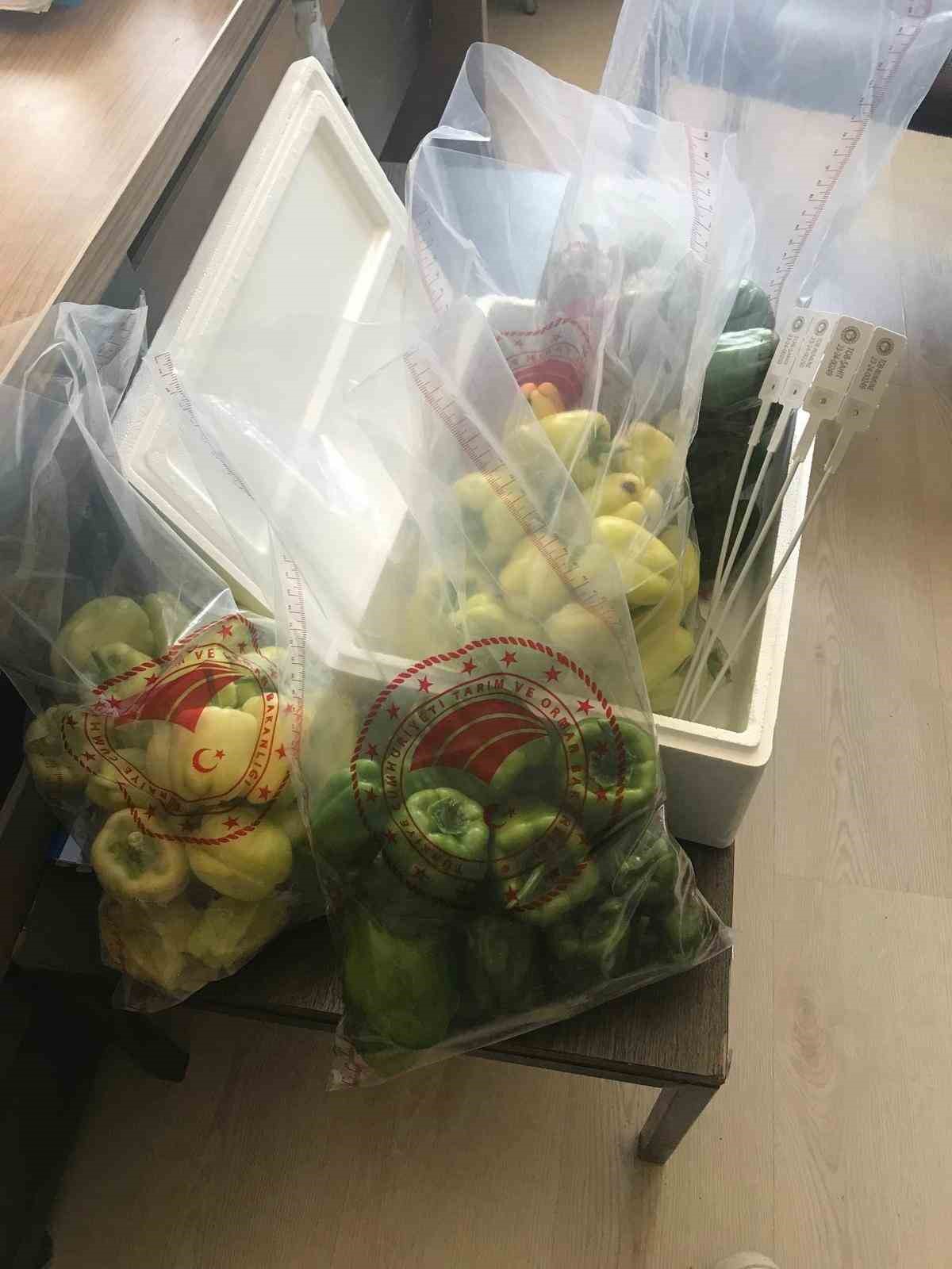 Elazığ’da pestisit denetimleri sürüyor