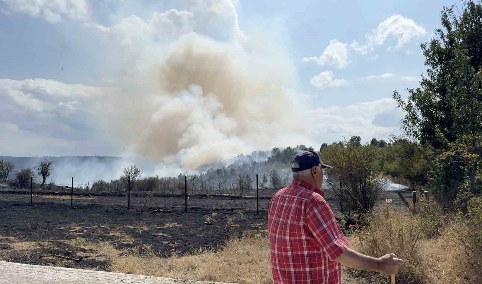 Kastamonu’da orman yangını