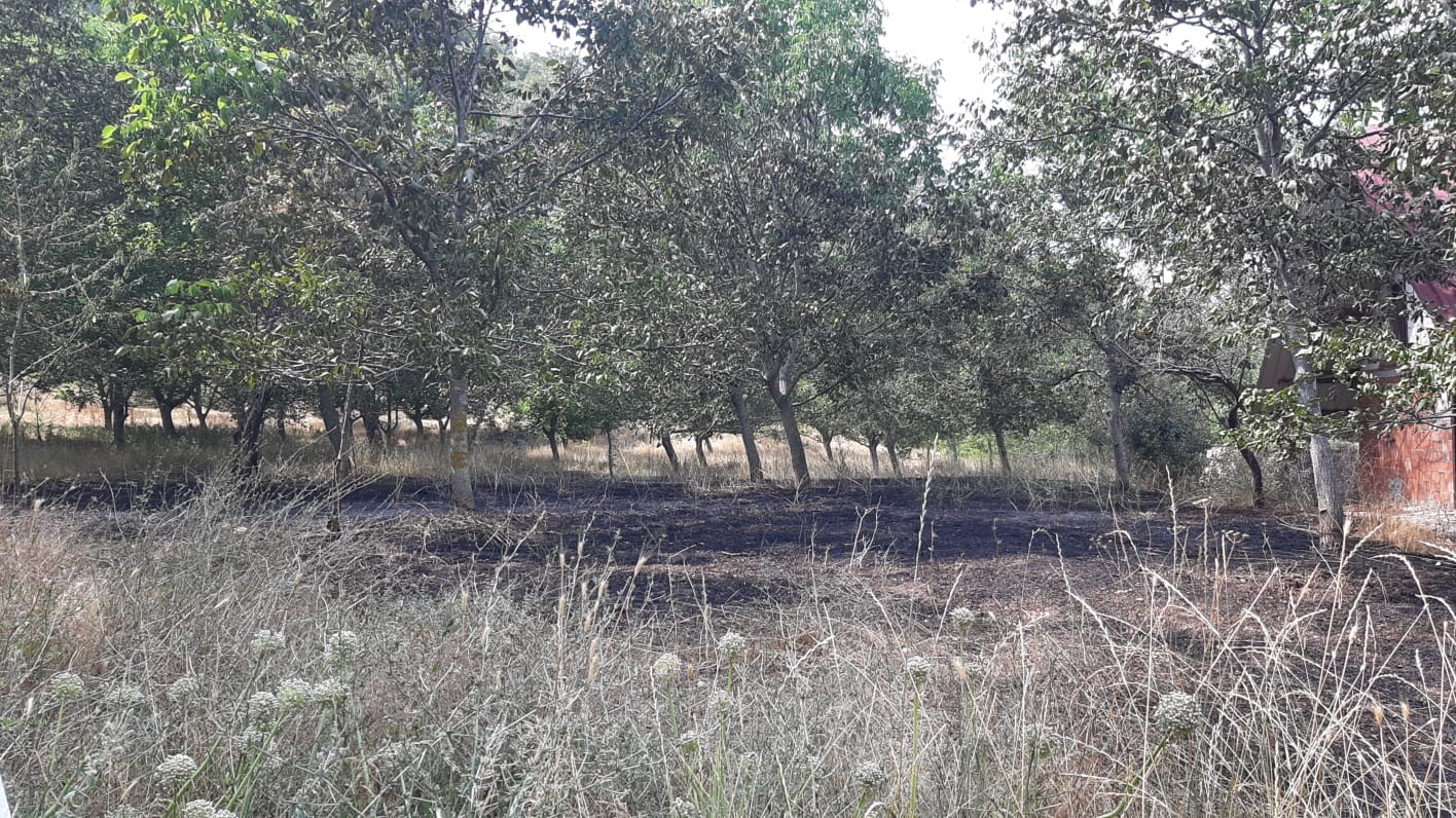 Bolu&rsquo;da facianın eşiğinden d&ouml;n&uuml;ld&uuml;: Tarlada &ccedil;ıkan yangın, eve ve ormana sı&ccedil;ramadan s&ouml;nd&uuml;r&uuml;ld&uuml;
